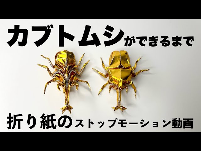 カブトムシNEW!