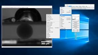 ImageJ: How to add time stamp to videos