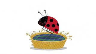 Ladybug.avi