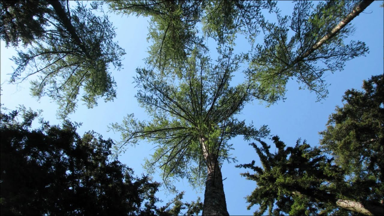 K. Plíhal - Na kolech & Ticho.wmv