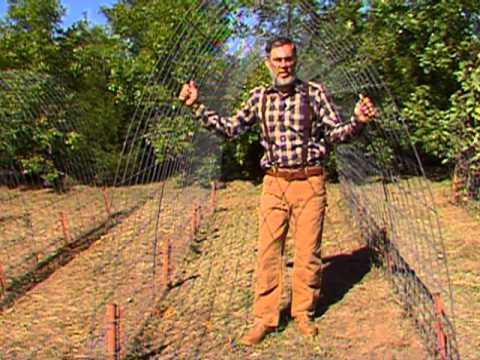 Trellis for Gourds - YouTube