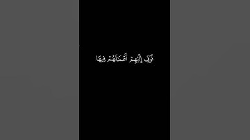 #قران_كريم #ماهر_المعيقلي #شاشه_سوداء #سورة_هود #استغفر_الله #اللهم_صل_وسلم_على_نبينا_محمد