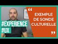 Retour dexprience sonde culturelle