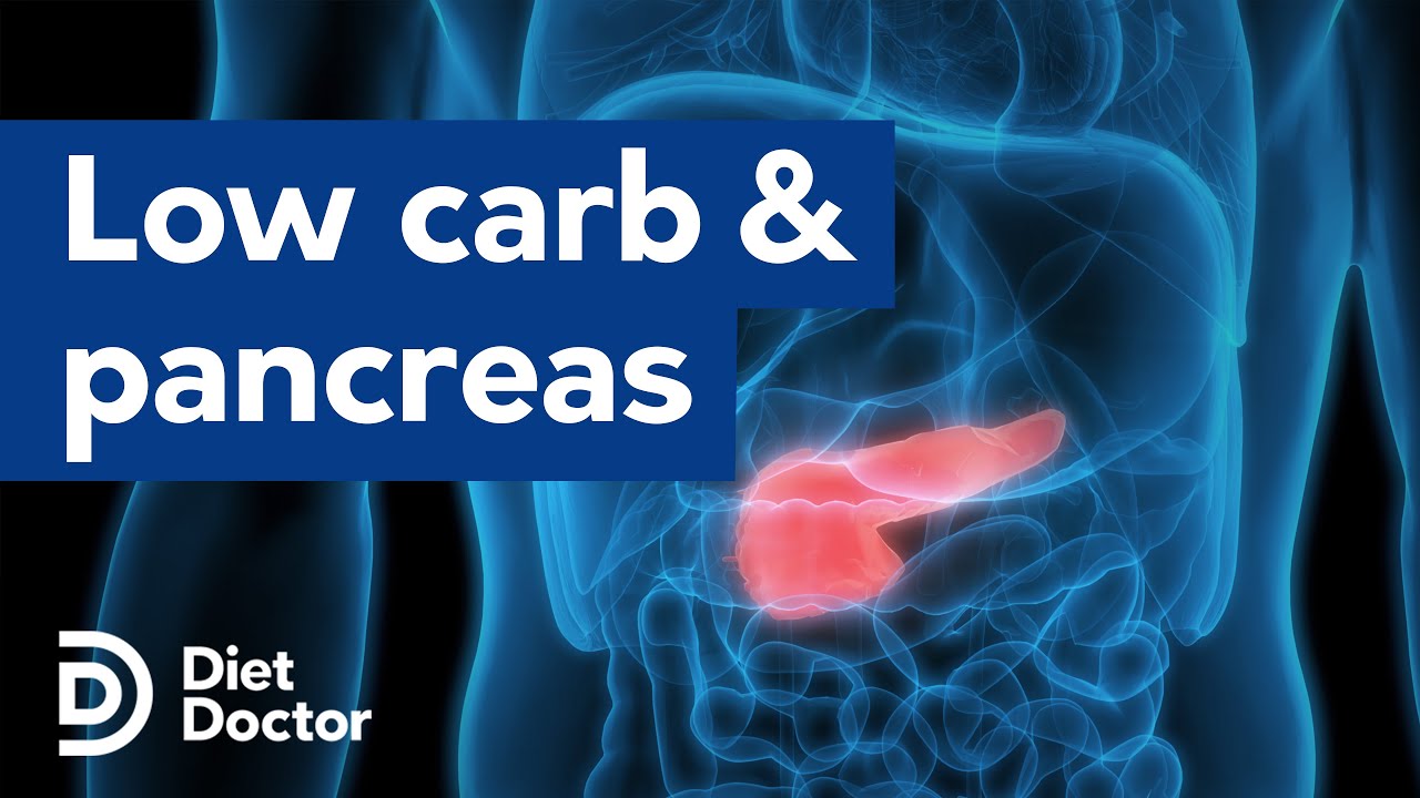 Low carb improves pancreatic function