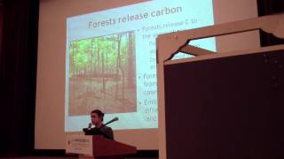 Conservation Campus 0719: Basic Forest Carbon Inventory and Accounting. Part 2