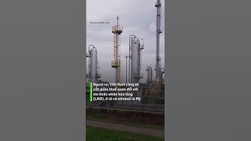 Việt Nam cho phép thí điểm dịch vụ internet vệ tinh Starlink