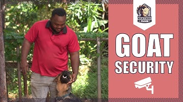 Westsidefarm | Farm Security