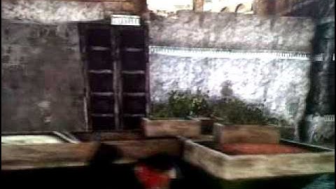 Uncharted 3 Riot shield glitch