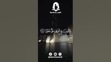 سورة المعارج - الايات 19-28 | ياسر الدوسري 🤍 #قران_كريم  #قرآن