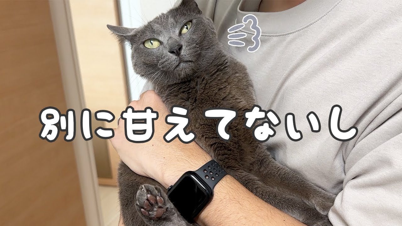 ハムちゃんがパパに大人しく抱っこされました！！！