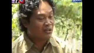Redaksi Trans7 :: Selama 2012, 135 Satwa Mati di KBS