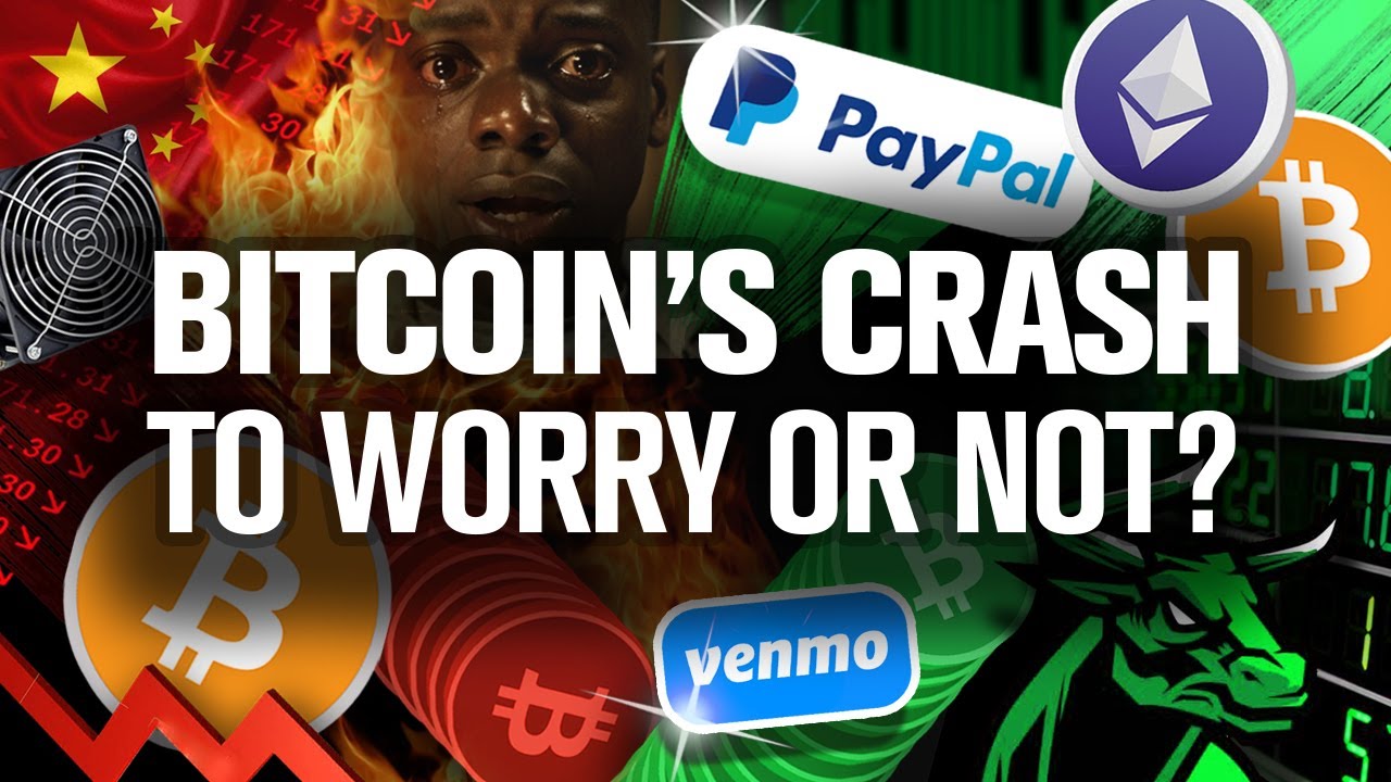 BITCOIN Dumps! Should You Worry!? NO! Bulls Will Return! - YouTube