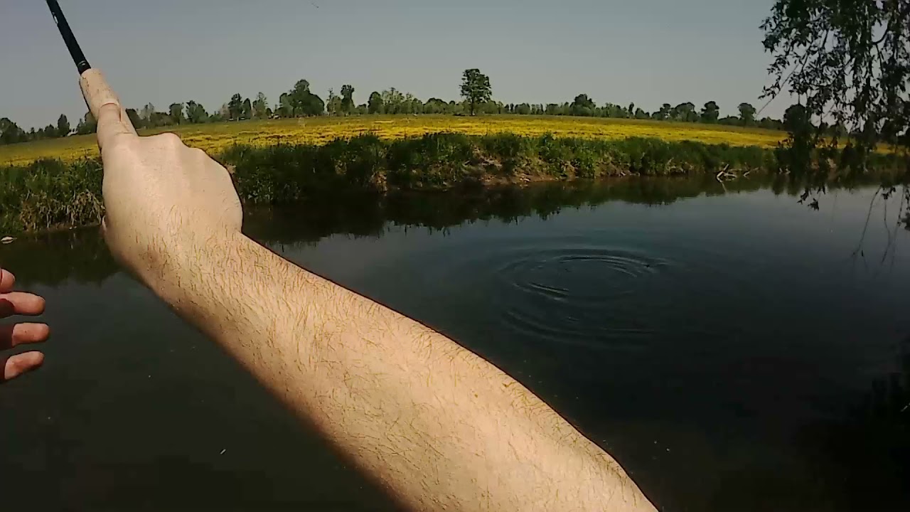 Big Chub with Tenkara (Tenkara Fly Fishing) C&R - Bel Cavedano a Tenkara