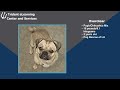 How to Insert Avatars, Photos, Icons &amp; Videos in Storyline | Content Library Tutorial