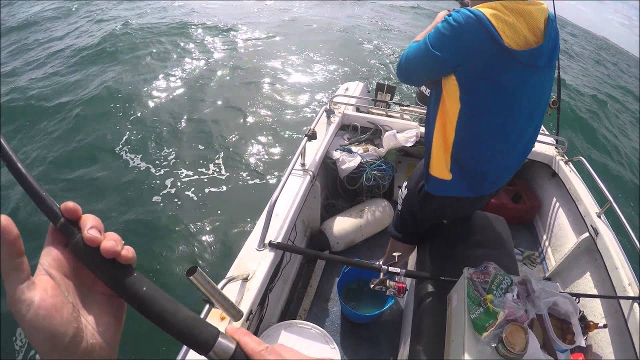 Sea Fishing From Boat June 2015 Christchurch Harbour YouTube