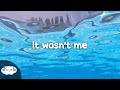 Shaggy - It Wasn