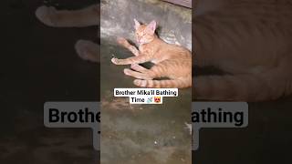 Brother Mikail Bathing Time