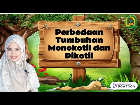 Video: Perbedaan Antara Eudikotil Dan Monokotil