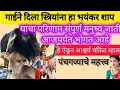 गाईने दिला स्त्रियांना हा भयंकर शाप याचा परिणाम संपूर्ण मनुष्य जाती आजपर्यंत भोगत आहे