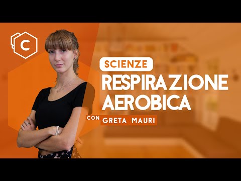 Video: Chi è la respirazione anaerobica?