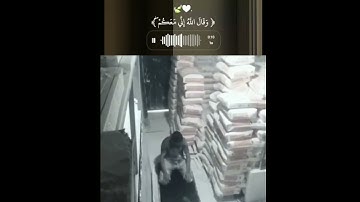 قران كريم بصوت جميل#اجمل_تلاوة_مهدئة_للاعصاب#راحة_نفسية#قران_كريم