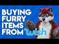We Bought Furry Items From Wish.com...