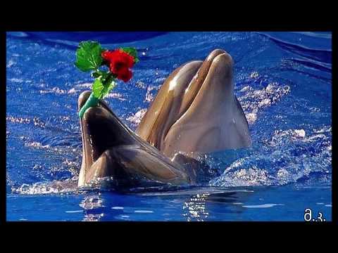 ჩემთვის ერთადერთი იქნები ...