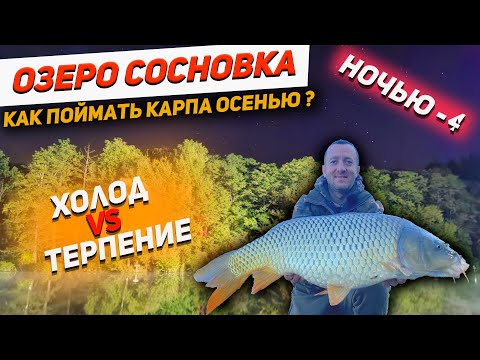 Video: Карп жана крессан сазанын кантип кармоо керек