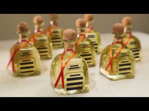 PATRÓN Censored Truth Case