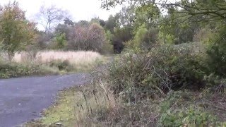 Exploration and Abanandoned and overgrown British Army camp