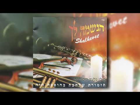 הנשמה לך I גלעד פוטולסקי ותזמורת שלהבת - Haneshama Lach - gilad potolsky & Shalhevet Orchestra
