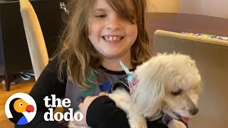 She's Allergic To Dogs - Watch Her Dad Find Her The Perfect Rescue Pup! | The Dodo Adoption Day