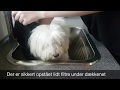 Sådan får din hund både rene poter og bliver filterfri i samme arbejdsgang