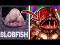 BLOBFISH Zombies is an actual thing.