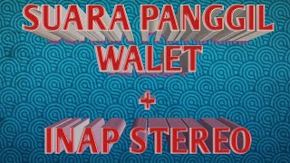 Download lagu suara walet stereo