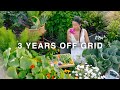 3 years off grid  everything i harvested  cooked from my vegetable garden