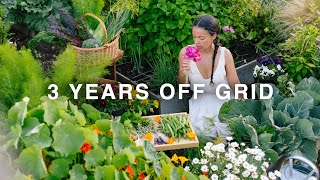 3 YEARS OFF GRID | Everything I Harvested & Cooked from My Vegetable Garden by Eugenia Diaz 178,363 views 4 months ago 1 hour, 4 minutes