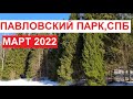 Павловский парк в марте 2022, СПб | Снег, свежий воздух и солнце-е-е!