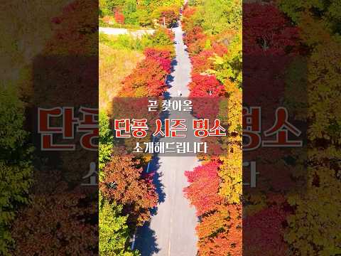 곧 찾아올 단풍 시즌 명소 BEST #국내여행 #여행추천