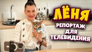 Репортаж для телевидения