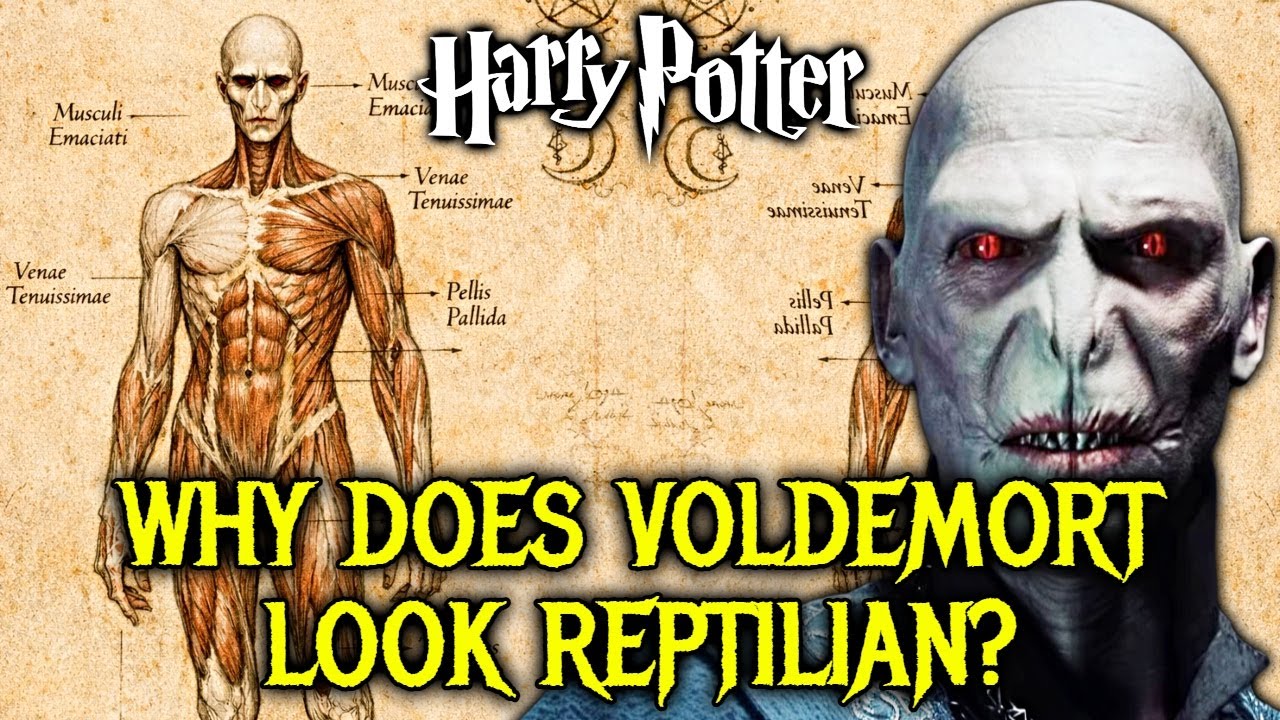 Anatomy of Voldemort: What Really Happened to His Original Face and Nose?