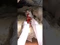 保護猫ミラ、ゆっくり家猫化してます#保護猫ミラ#元野良猫#保護猫#猫のいる暮らし#多頭飼い