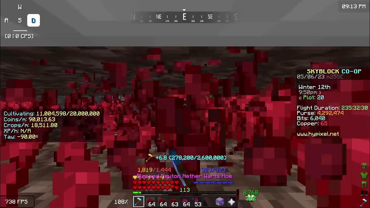 Getting mythic Nether wart hoe?? (Hypixel Skyblock) YouTube