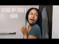 DYING MY CURLY HAIR JET BLACK | GARNIER NUTRISSE HAIR DYE