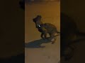 ارجوكم تابعوني 