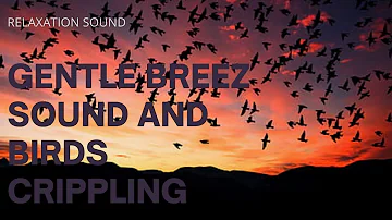 Gentle Breeze Sound And Birds Crippling | Fresh Music for Deep meditation, study || Relaxation sound