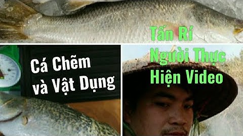 Cách Phi Lê Cá Chẽm Biển - Ẩm Thực Tấn Rí