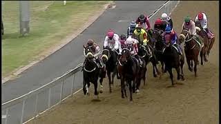 Vidéo de la course PMU PRIX TRACK AND BALL GAMING FM 86 HANDICAP