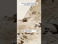 The US Owns Islands For Bird Poop