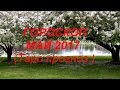 Гороскоп  на май 2017( Таро прогноз)Гадание на картах Таро на youtube